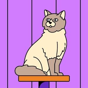 Meet your Posher, Tania